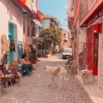 Cunda Adası Hakkında;